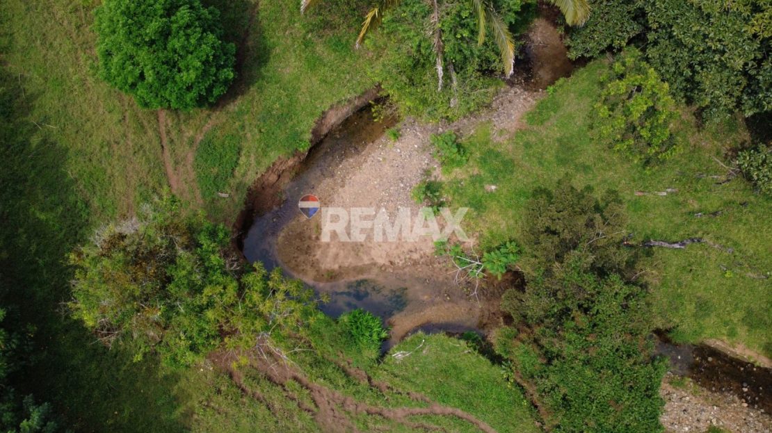 Massive cattle farm for sale in Perez Zeledon