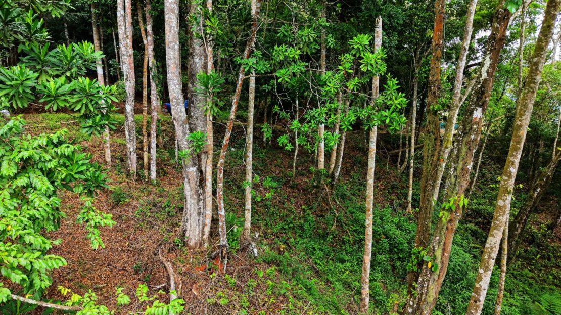 Land 7.000m for Sale in Miravalles de Rivas
