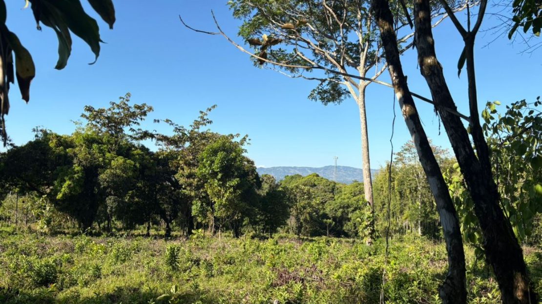 Land For Sale 1.8 Hectares Fully Serviced & Nature-Surrounded in Quizarra Ready to Build