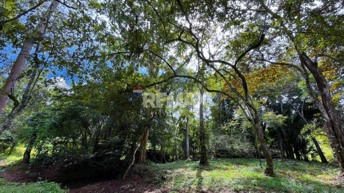 Costa Rica Real Estate