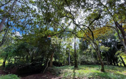 Massive cattle farm for sale in Perez Zeledon