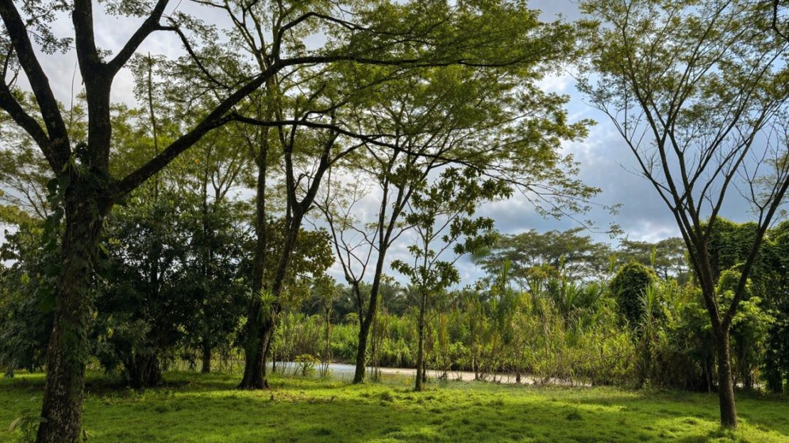 Costa Rica Real Estate