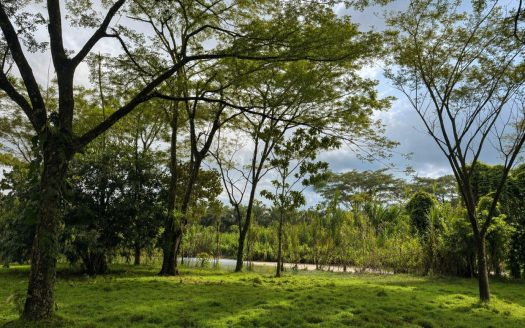 42ha Private Estate with River + Flat Land + Build Potential