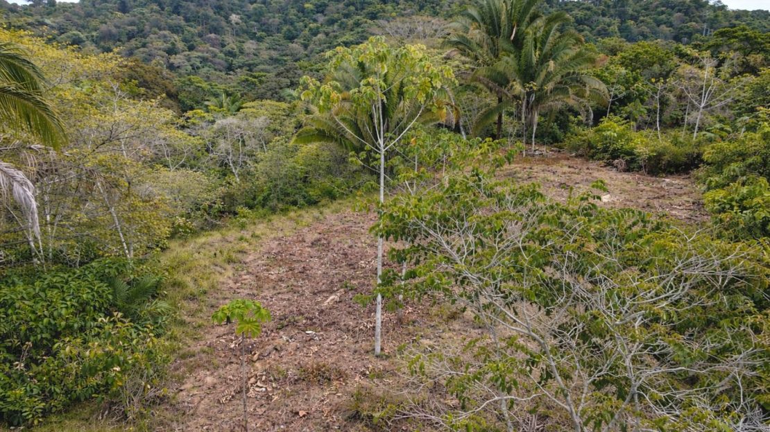 Costa Rica Real Estate