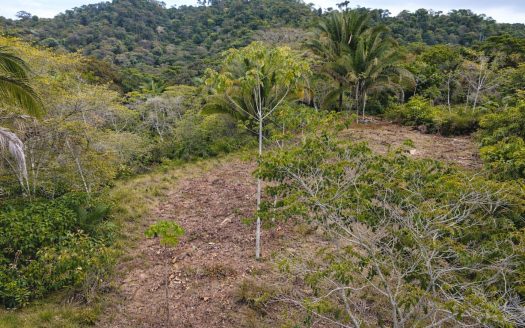 17.2 Acres in the Heart of the Rainforest – Prime Coastal Location Between Manuel Antonio & Dominical