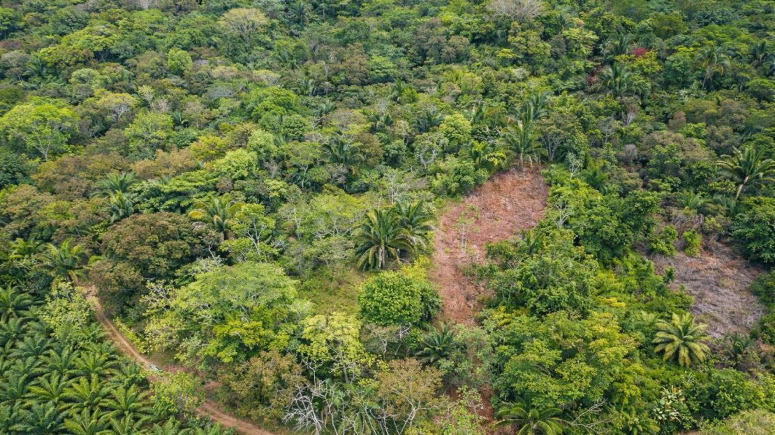 17.2 Acres in the Heart of the Rainforest – Prime Coastal Location Between Manuel Antonio & Dominical