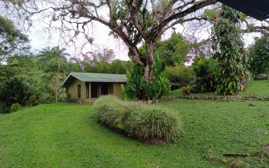 Coto Brus Real Estate Listings 31533