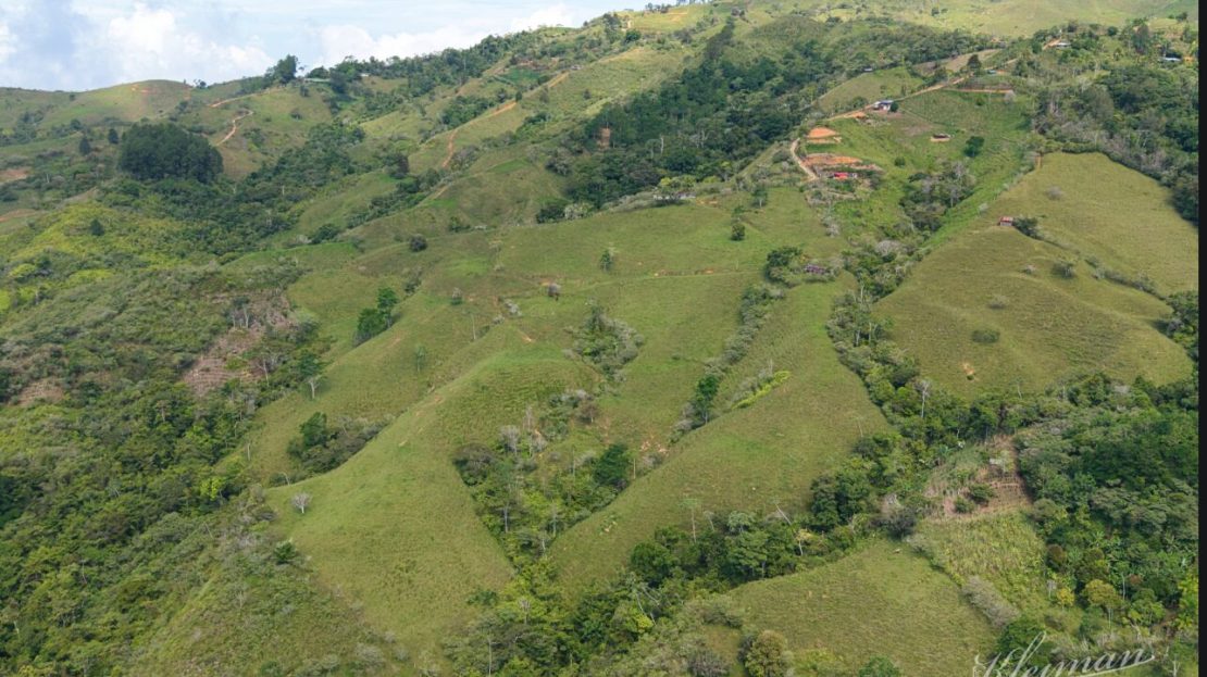 Coto Brus>Agua Buena Real Estate Listings 31702