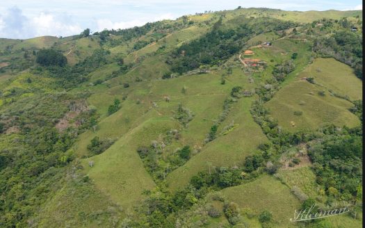 Coto Brus>Agua Buena Real Estate Listings 31702
