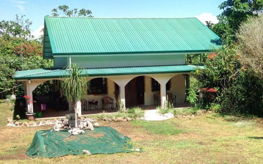 Coto Brus>San Vito Real Estate Listings 31172