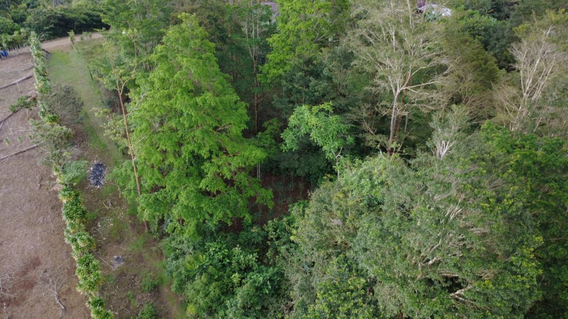 186 m² Property for Sale in San Francisco de Cajón