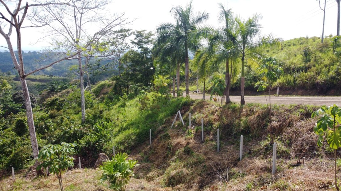 Costa Rica Real Estate