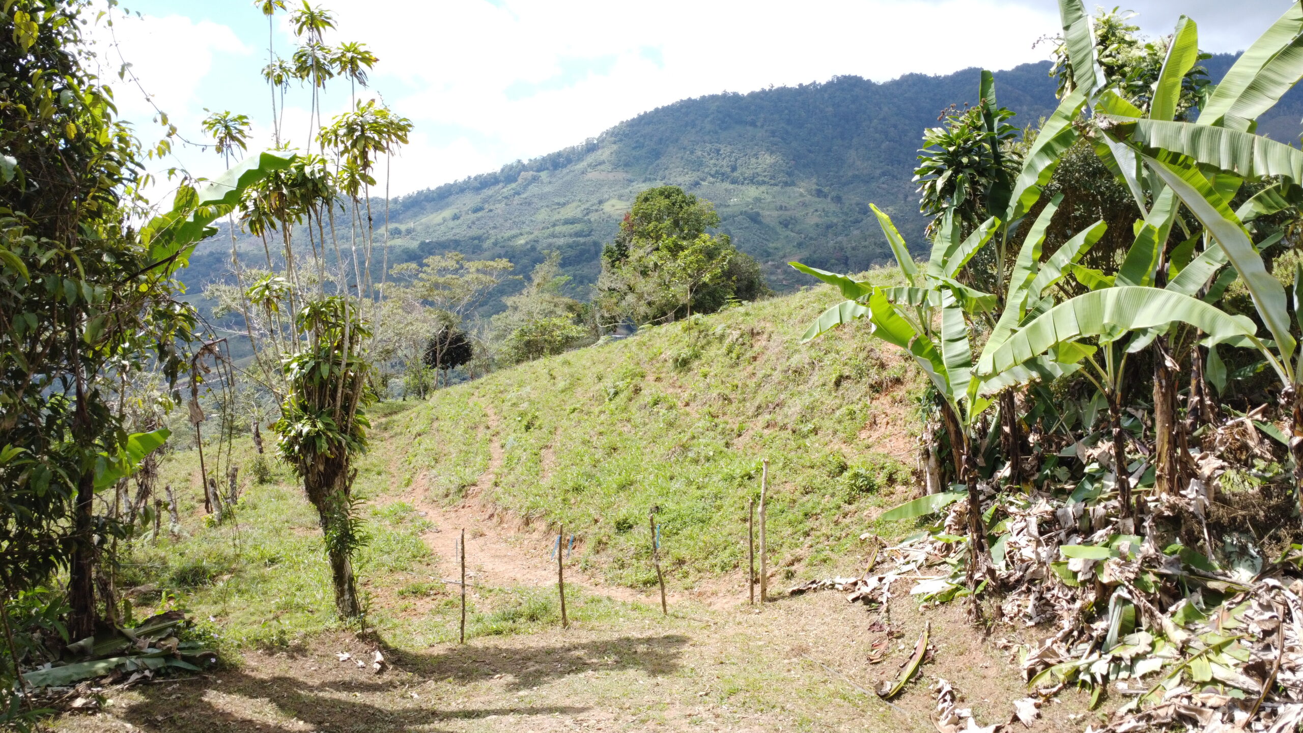 Secluded, private and peaceful large lot with amazing view