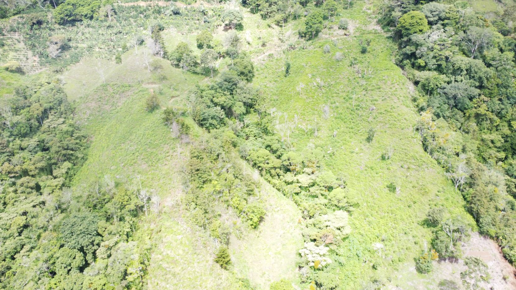 Off-Grid Opportunity - Private Retreat Lot for Sale in Perez Zeledon