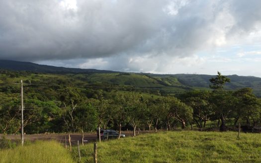 Cañas