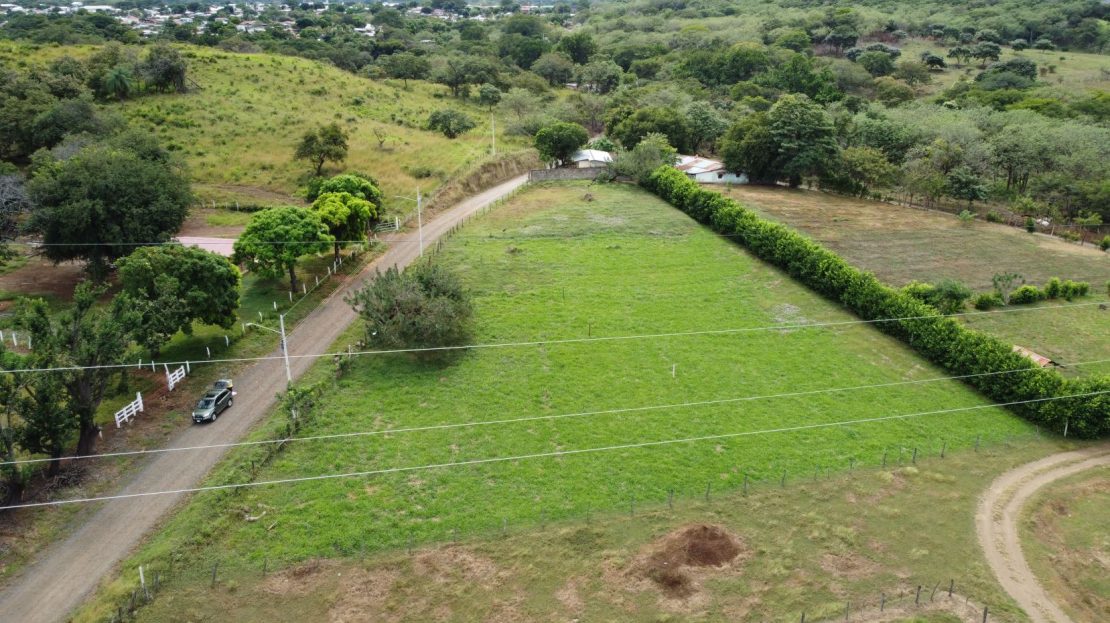 Cañas