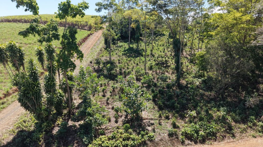718 m² with Mountain Views and Fruit Trees for Sale in Las Mercedes de Cajón – Highly Peaceful Area