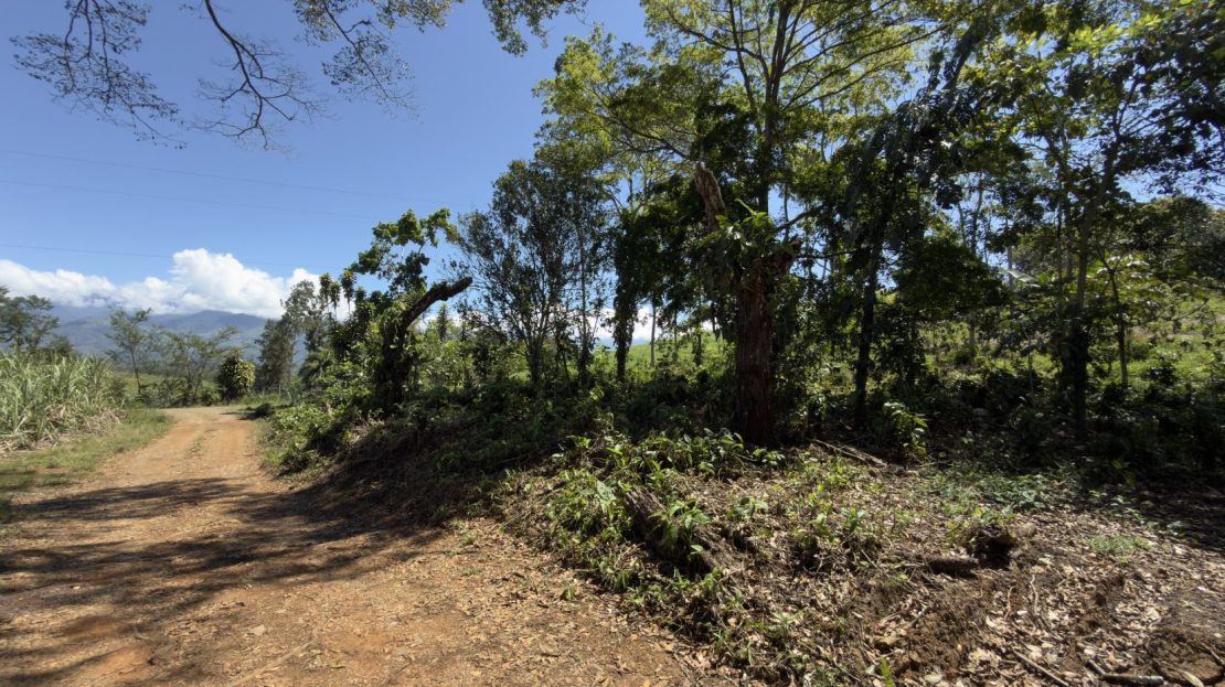 Costa Rica Real Estate