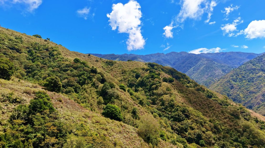 Herradura Farm for Sale: 100.6 -Hectare (248.6 ac) Water and Forest Reserve in Chirripó