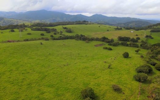 For Sale: 78-Hectare Sustainable Farm in Tilarán, Guanacaste, Costa Rica