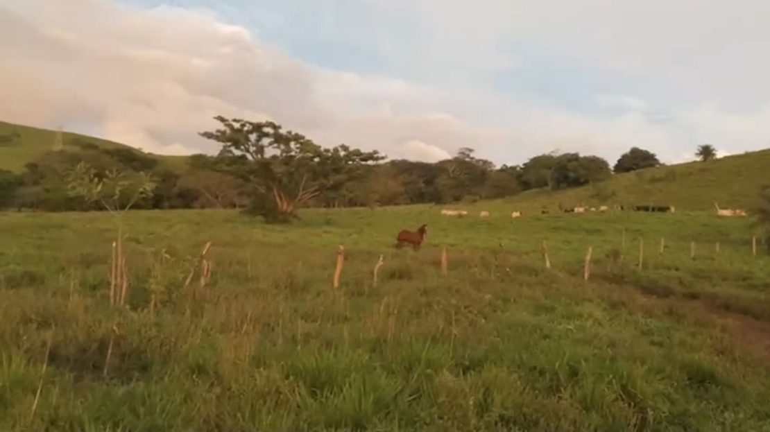 Guanacaste