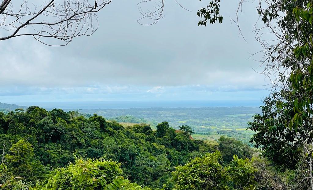 Garabito Central Pacific Costa Rica>Hermosa Beach For Sale 59084 | RE/MAX Costa Rica Real Estate