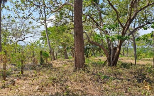 Own a Piece of Paradise in Guacalillo, Bajamar: Ocean View Property