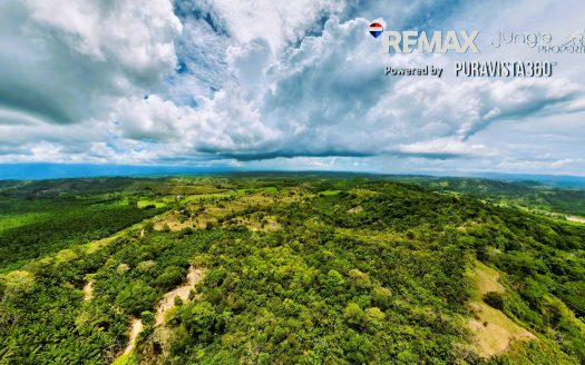 Land for Sale in Costa Rica | 5 Hectares Near Golfito & Pavones Close to River