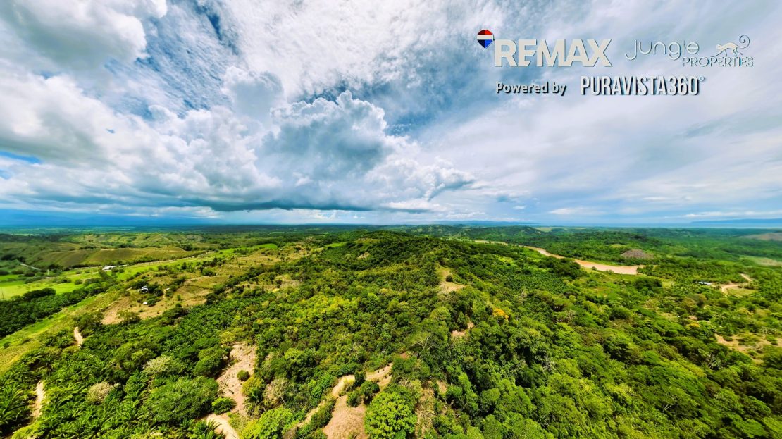Golfito>Florida Real Estate Listings 31416