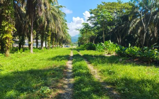 Golfito>Guaycará Real Estate Listings 31152