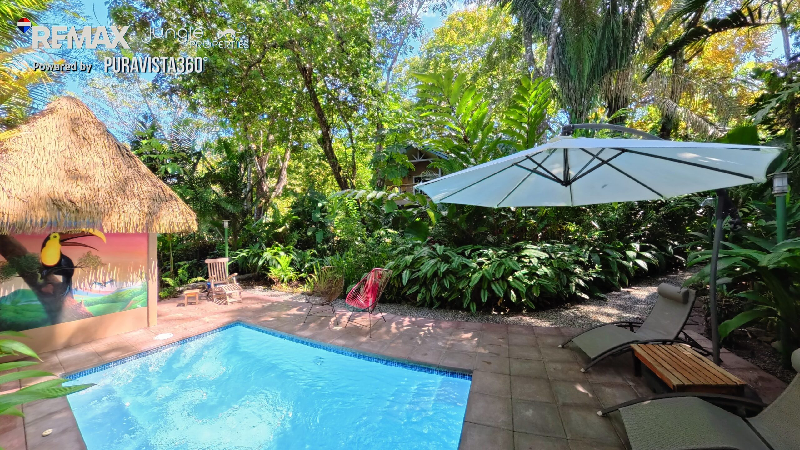 Property for Sale in Pavones Costa Rica | Premium Jungle Estate Steps from a World-Class Surf Break