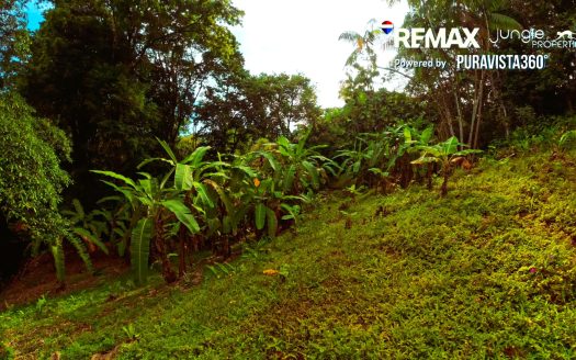 Lot for Sale in Pavones Costa Rica | 900 m² Jungle Property in Santa clara