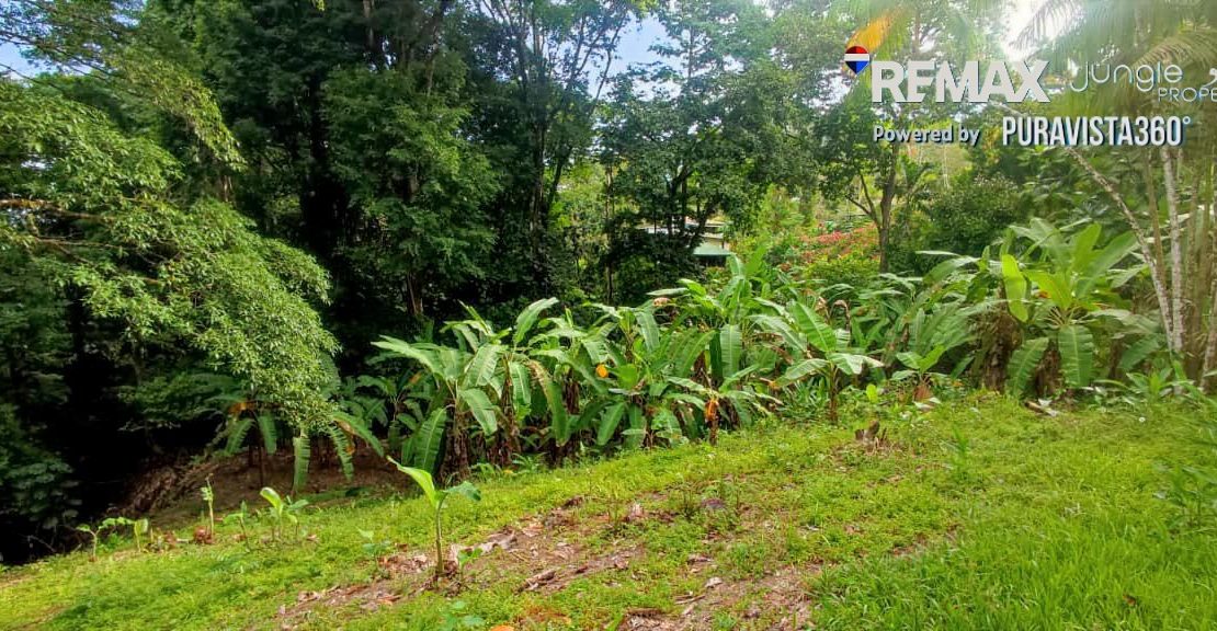 Golfito>Pavones Real Estate Listings 31403