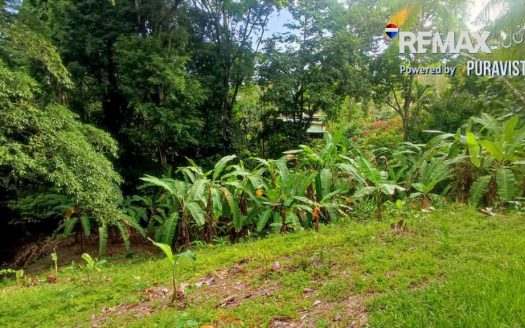Golfito>Pavones Real Estate Listings 31403