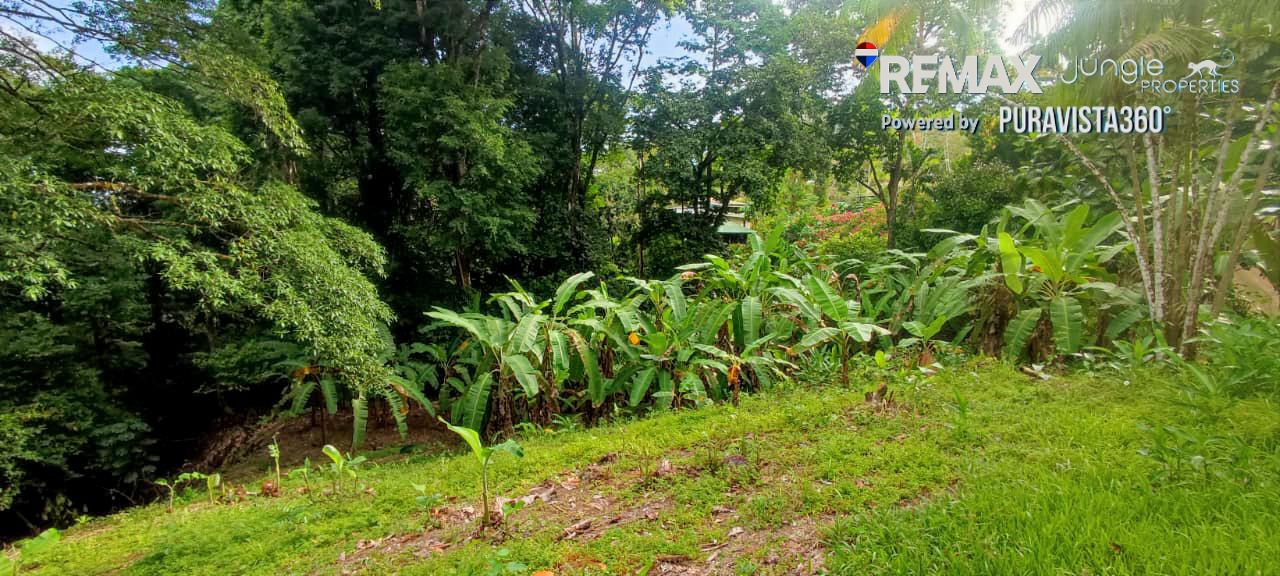 Lot for Sale in Pavones Costa Rica | 900 m² Jungle Property in Santa clara