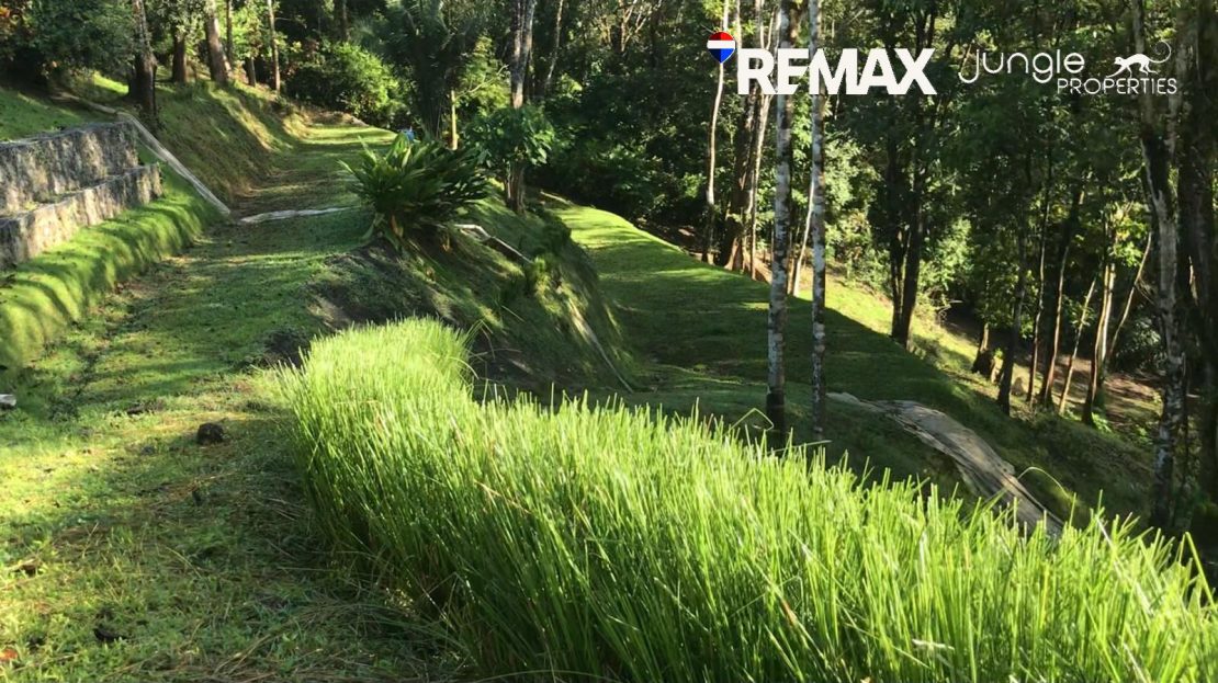 Golfito>Rio Claro de Pavones Real Estate Listings 31250