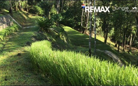 Golfito>Rio Claro de Pavones Real Estate Listings 31250