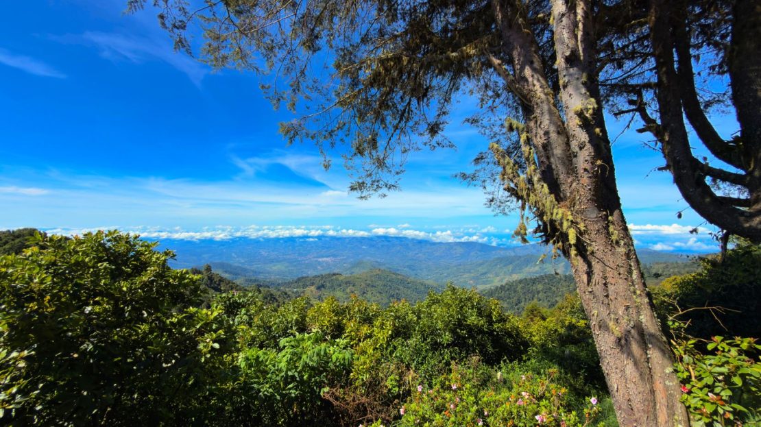 Costa Rica Real Estate