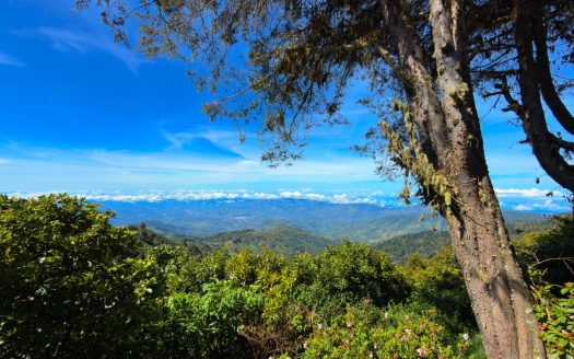 Beautiful Mountain Home with fantastic Panoramic Views in Pérez Zeledón.