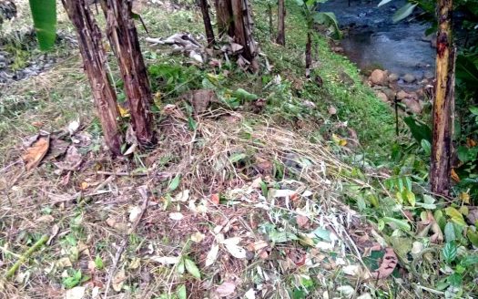 Riverfront Property with Expansion Potential Near La Fortuna – 2,918 m² + Additional 2,000 m² Usage Rights