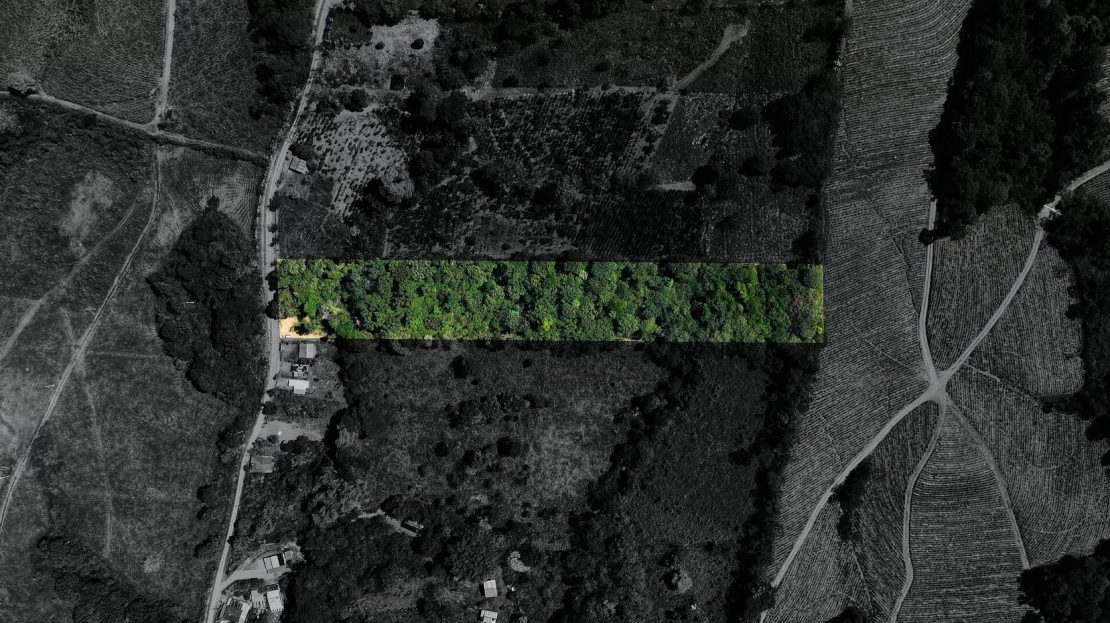 Costa Rica Real Estate