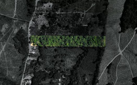 Land For Sale 1.8 Hectares Fully Serviced & Nature-Surrounded in Quizarra Ready to Build