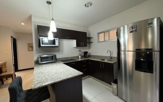 Fully furnished apartment for rent