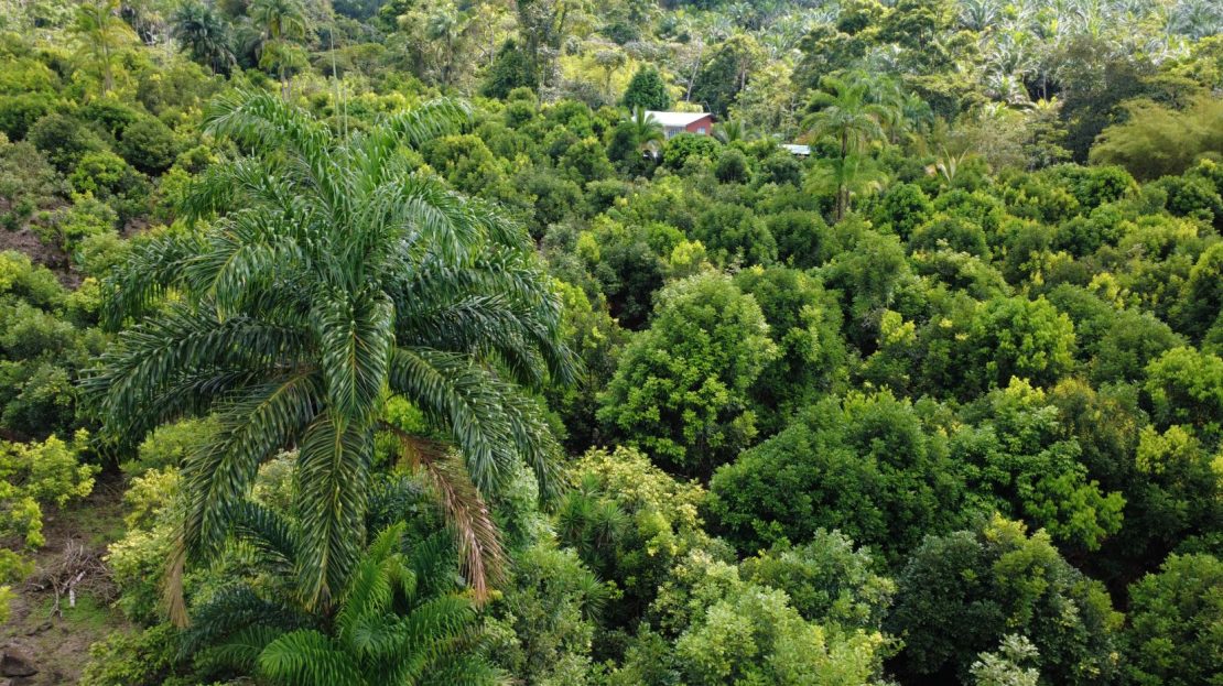 Costa Rica