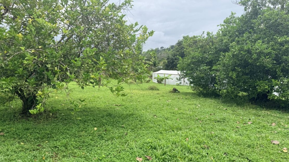 Costa Rica Real Estate