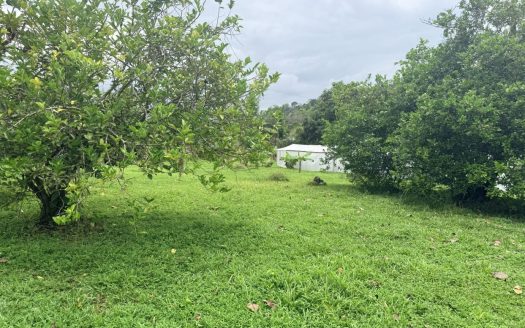 Turnkey Producing Cacao Farm “La Mina” for Sale – Upala, Costa Rica | 29 Hectares of Opportunity