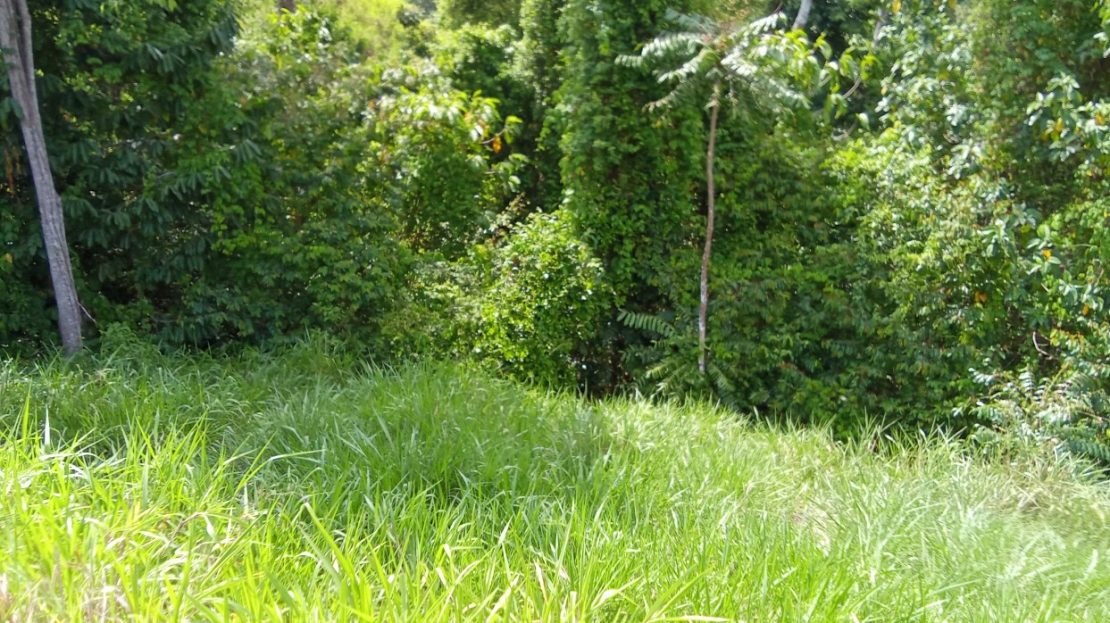 in a lightly traveled and very tranquil location.