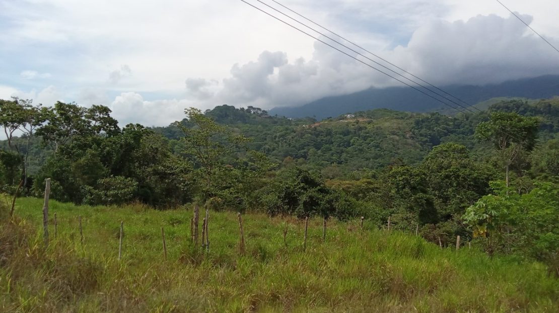 Lot in OSA near the coastal road