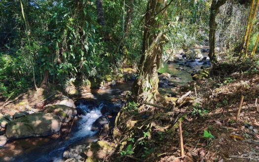 Flat Lot for Sale in Las Mercedes de Cajón, Pérez Zeledón – 3,121 m² with River