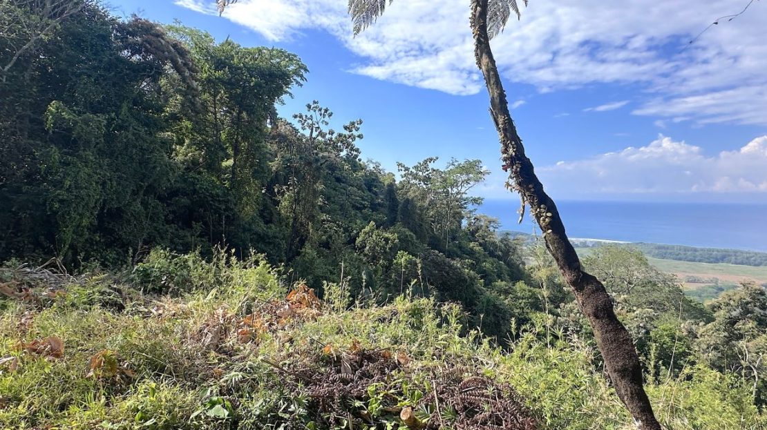 Costa Rica Real Estate